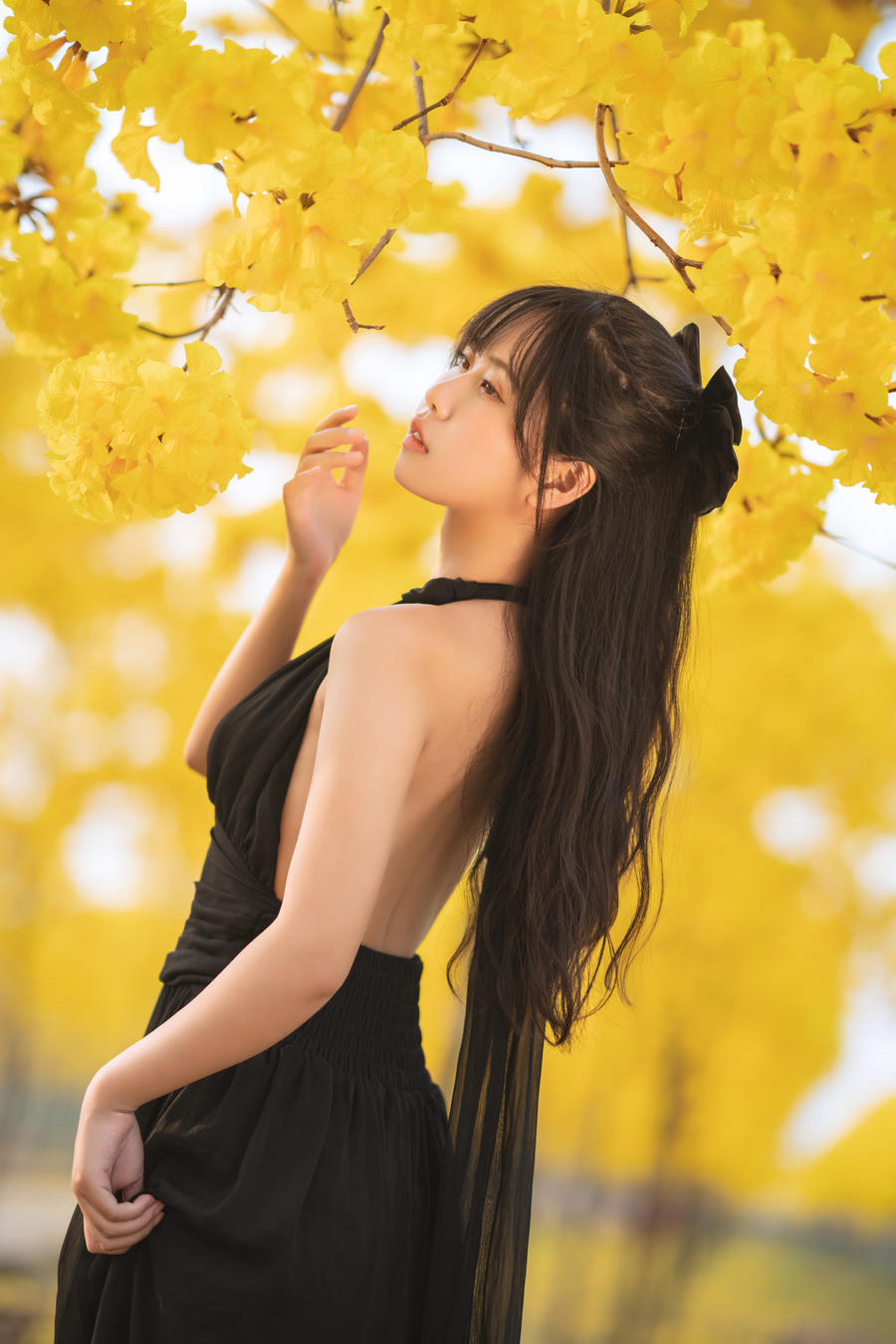 萌芽儿o0-No.025–秋有银杏 春有黄风铃 [23P]·合集-妙妙屋