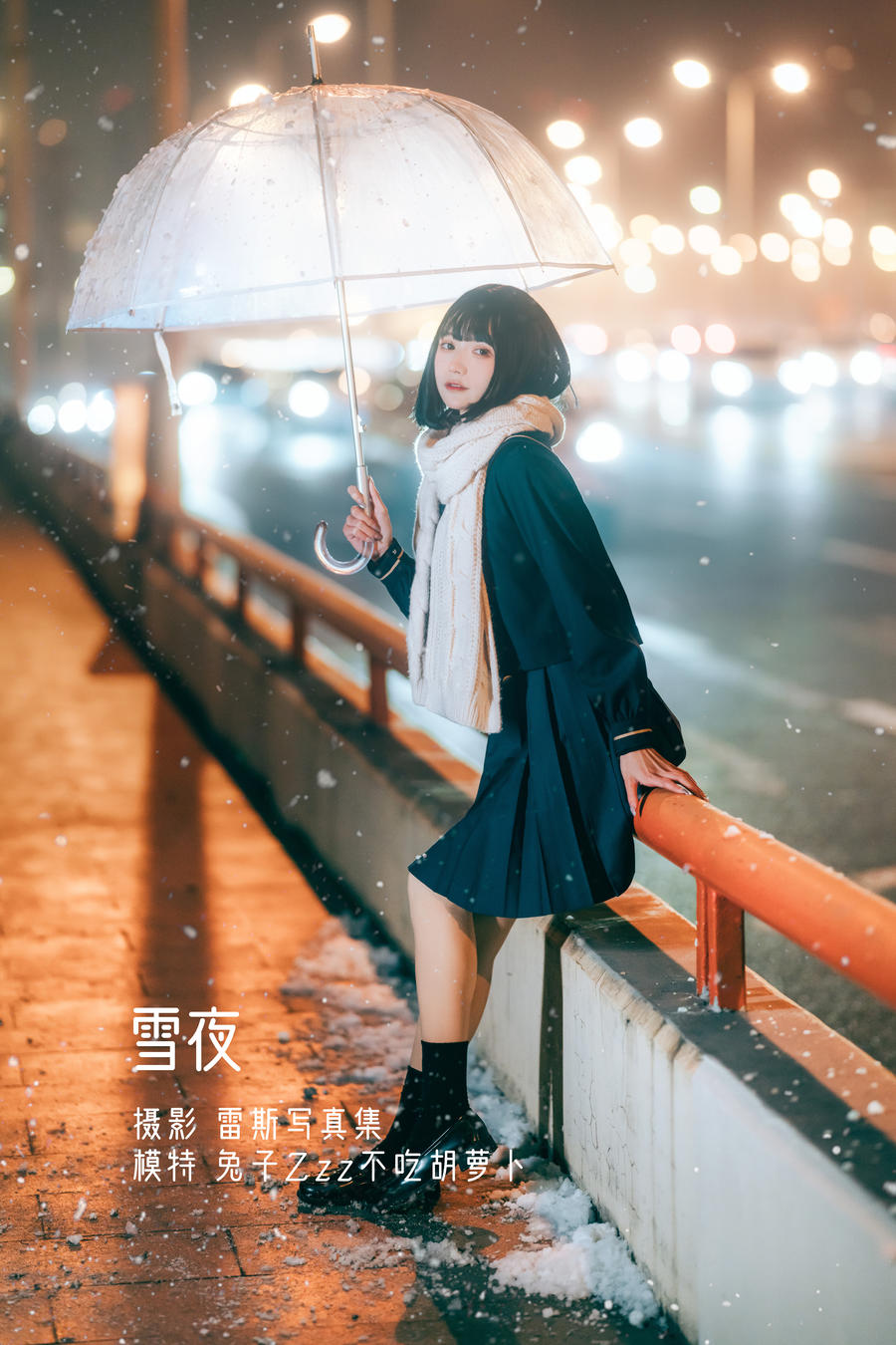 兔子Zzz不吃胡萝卜-No.036-雪夜 [22P]·合集-妙妙屋