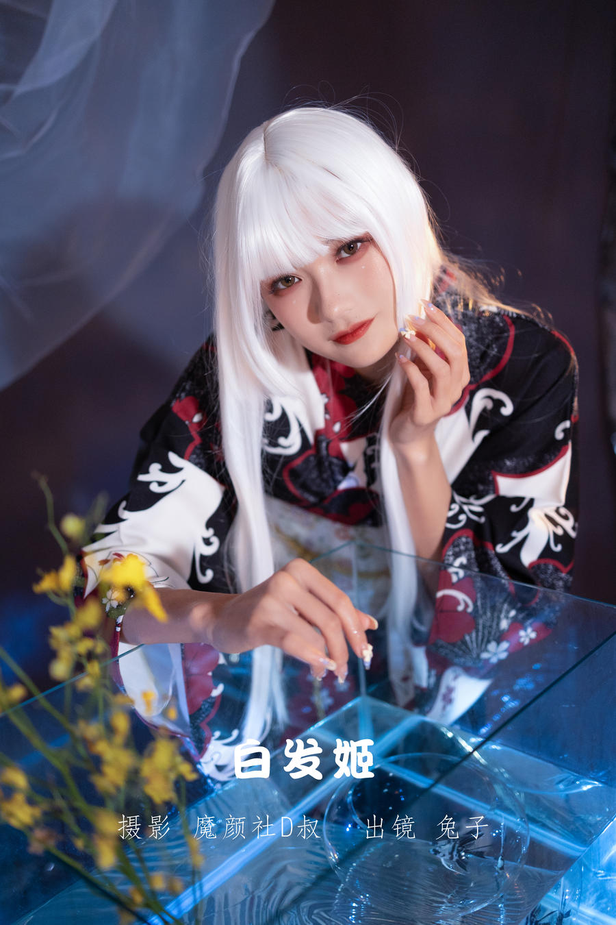 兔子Zzz不吃胡萝卜-No.008-白发姬 [42P]·合集-妙妙屋