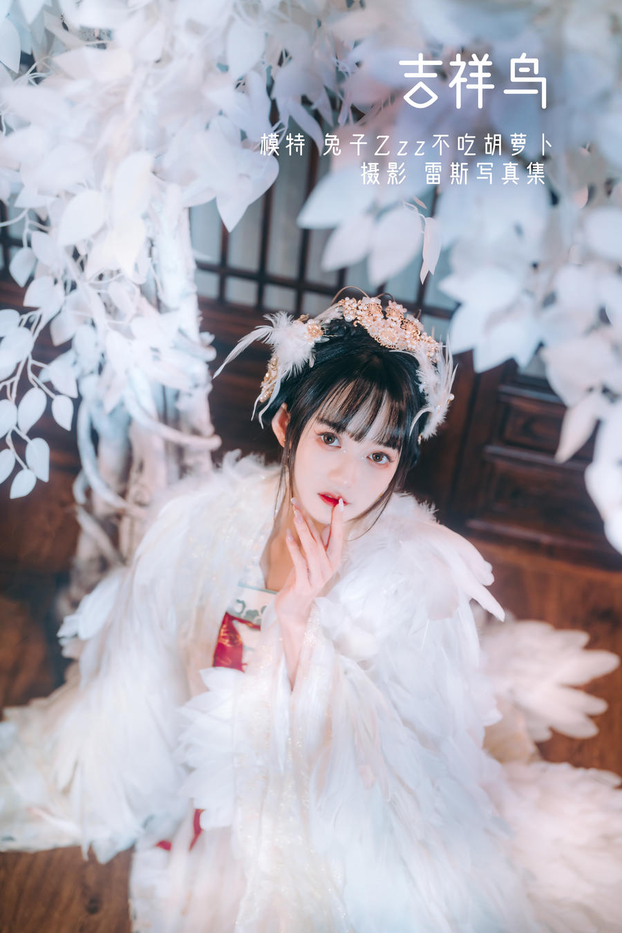 兔子Zzz不吃胡萝卜-No.005-吉祥鸟 [21P]·合集-妙妙屋