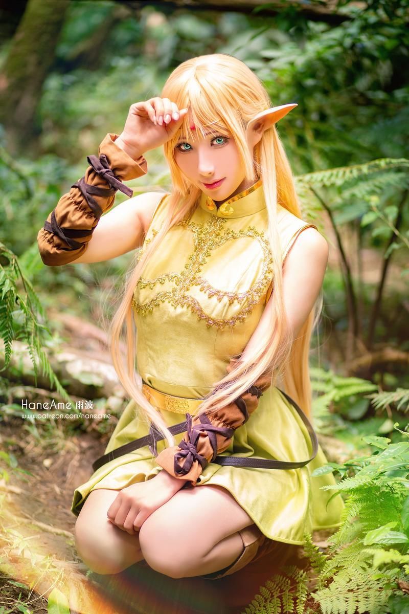 雨波_HaneAme-No.035-Record of lodoss Deedlit [6P]·合集-妙妙屋